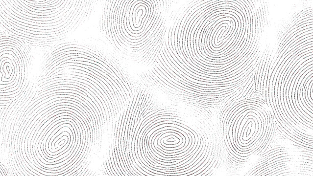 Abstract concentric line art pattern with overlapping circular and oval shapes resembling fingerprints or topographic contours