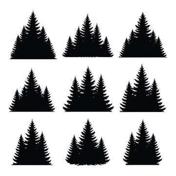 Seamless Christmas Tree Pattern with Winter Fir Forest Vector Illustration and Holiday Decoration Design