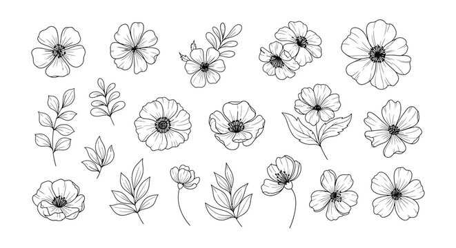 Set of black and white vector flowers with floral decorative designs and rose elements