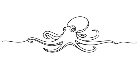 Continuous line art drawing of an octopus © Vector