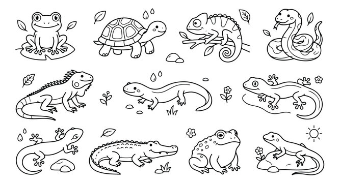 Cute reptile and amphibian line art collection, 11 cartoon animal vector icons, black and white coloring book style illustrations for kids