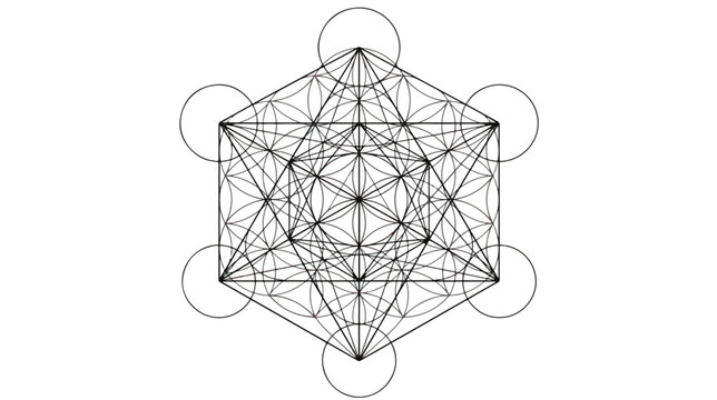Sacred geometry Metatron's Cube vector, mystical flower of life mandala, esoteric spiritual symbol with black thin lines on white background
