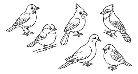 Hand drawn bird coloring page set, 6 black and white bird vector illustrations, cardinal and blue jay line art for kids activity books © Muhammad