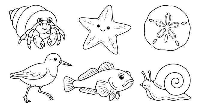 Cute ocean animals coloring page set, 6 sea creature line art icons including hermit crab and starfish, black and white beach wildlife vector illustrations