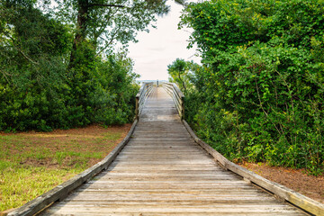 Fototapeta premium Wooden walkway leads through greenery to open area by the water in midday