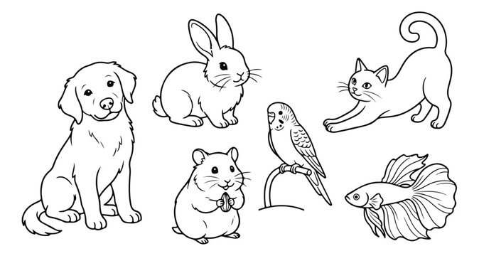 Cute domestic pets line art collection, 6 animal coloring page illustrations, black and white vector set of dog, cat, rabbit, hamster, bird and fish