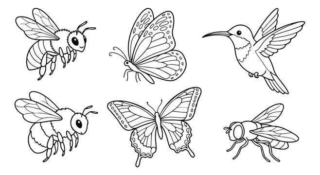 Hand drawn flying insects and hummingbird coloring page set, black and white line art vector collection of bees, butterflies, and garden wildlife