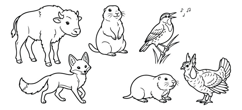 North American prairie animals line art collection, wild bison and fox coloring book vector, prairie dog and meadowlark illustrations