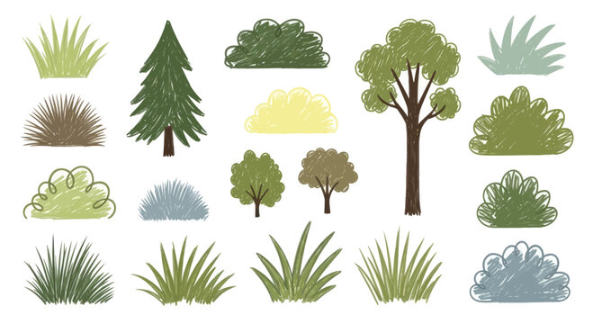 Collection of cartoon trees and bushes isolated on white background.