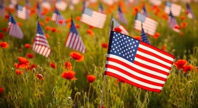 American flags amidst vibrant red poppies memorial day remembrance patriotic display united states symbolism
