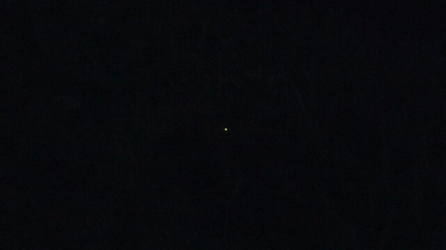 Mystical Fireflies Glowing in the Dark Night | Summer Season Background