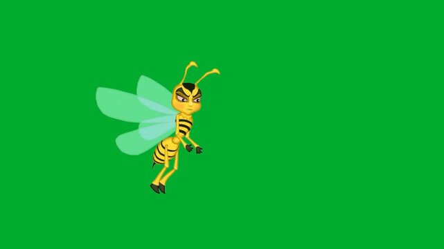 2d animation Wasp insect flying in profile view with fast flapping translucent wings animation on green screen. Yellow and black striped hornet bee cartoon character soaring in the air animation