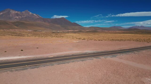 Ascending reveal over suri rheas roaming arid desert scrubland beside a highway uncovering vast altiplano plain and mountain range across the horizon