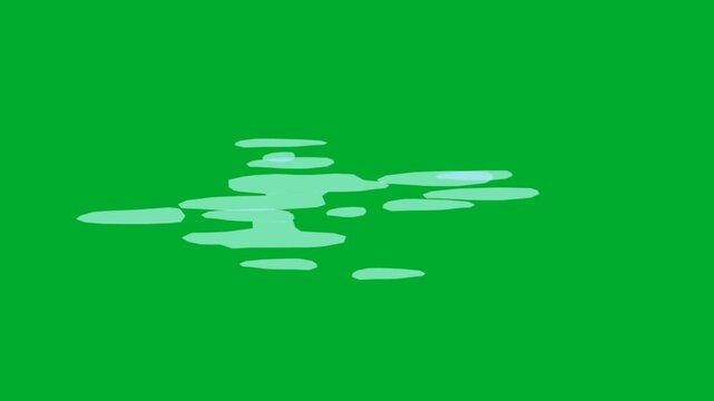 2d animation Water puddles ripples abstract reflections on the ground layer layout animation on green screen. Clear liquid rain drops splash pond surface pattern overlay effect graphic vector cartoon