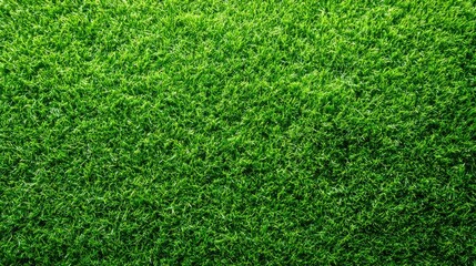 Obraz premium A close-up overhead view of lush, vibrant artificial green grass blades