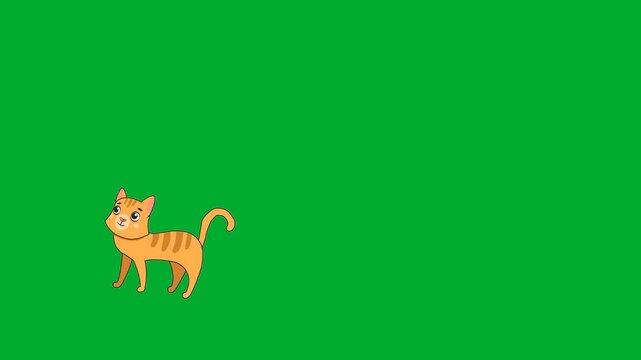 2d animation Cat walking in distant profile view layout frame animation on green screen. Small scale orange ginger kitten pet animal cartoon character marching slowly across space animation on green