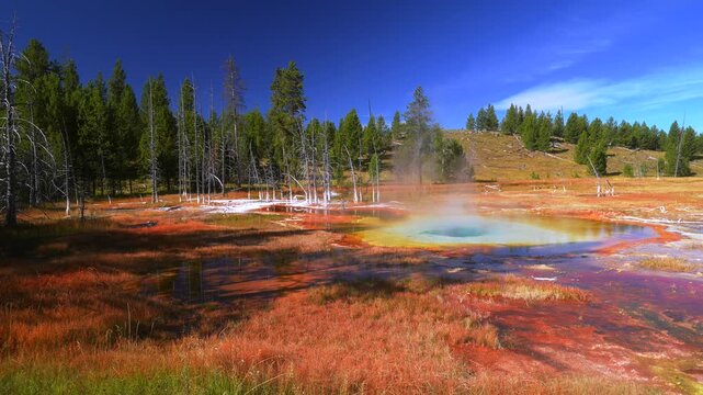 Abyss Pool West Thumb Geyser Basin shores of Yellowstone Lake Geothermal feature hot springs Yellowstone National Park Wyoming USA sunny morning blue sky remote vast landscape pan right motion