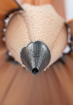 Close up pencil tip detail