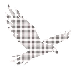 Obraz premium Grey Dot Eagle Flying on White Background hawk bird.