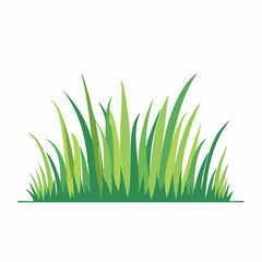 Fototapeta premium Green Grass Illustration