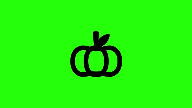Clean 4K horizontal video showing a large round ribbed pumpkin vegetable outline bouncing fluidly. High quality popup graphic for thanksgiving harvest menu.