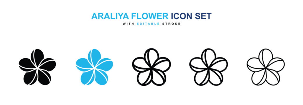 Araliya flower icon