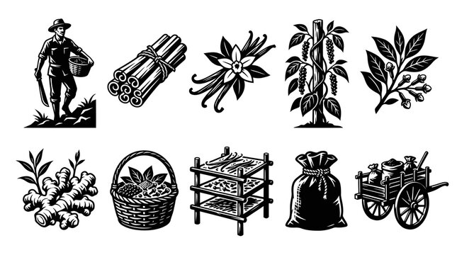 Traditional Spice Farming and Agriculture Vector Elements