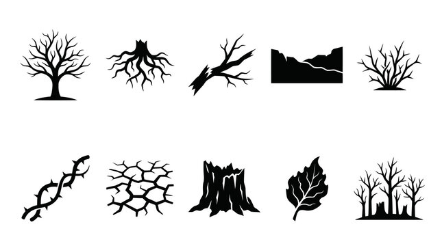 Dead Trees and Dry Cracked Earth Nature Elements