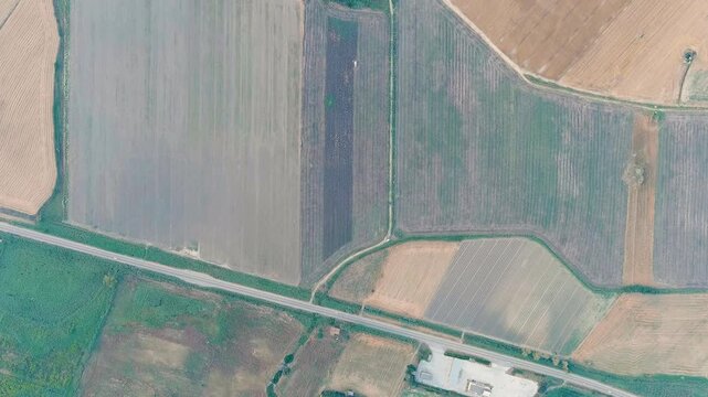 Ginosa, Italy. Harvesting a field with a combine harvester in the light of the evening sun. Drone footage, HEAD OVER SHOT