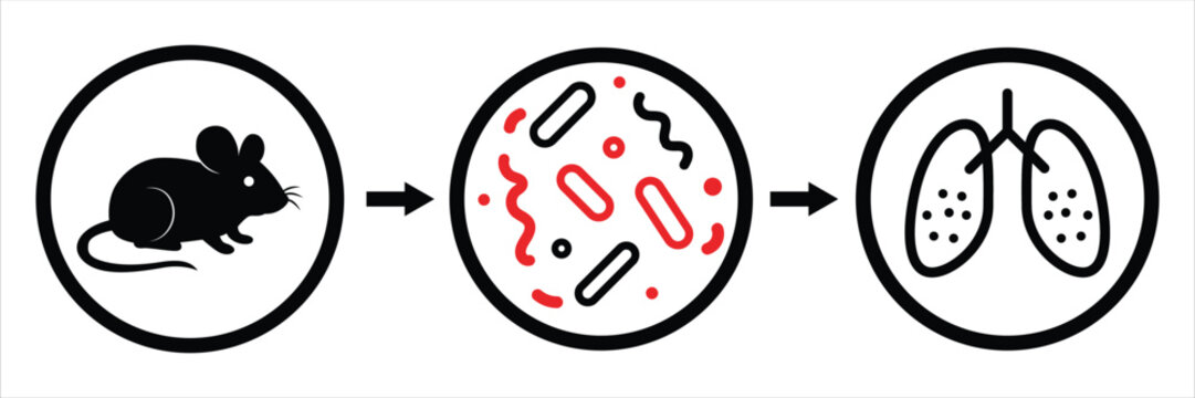 Hantavirus Pulmonary Syndrome Icon &ndash; Rodent Virus and Lung Infection Illustration. Vector illustration.