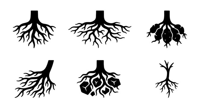 Diverse Root Systems Vector Set, Organic Growth Patterns, Plant Biology Concepts, Natural Structures, Black and White Icons