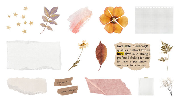 PNG Vintage scrapbook elements collection on transparent background