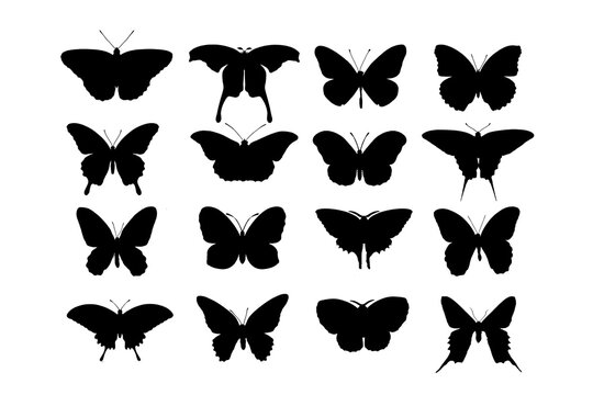 Flying butterflies silhouette black set isolated on transparent background
