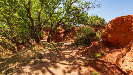 Obraz premium Hiking Trail Through Palo Duro Canyon