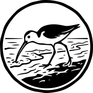 black sandpiper with long leg in ocean