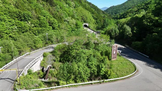 Curving road winds through dense green forest. Bridge spans narrow gap with sturdy stone support. Tunnel entrance hidden behind lush vegetation. Signpost stands near curve, offering direction