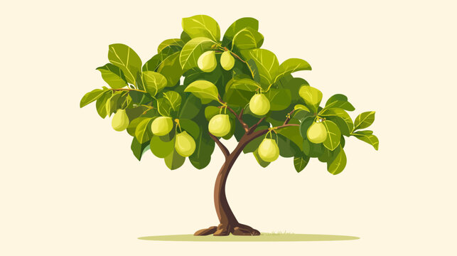 A stylized pear tree with greenish leaves and hanging yellow pears in sunlight