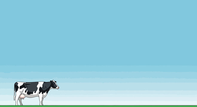 Single Holstein Friesian Cow Standing on Green Grass Under Clear Blue Sky