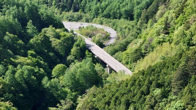 Winding road hugs forested hillsides. Vehicles pass beneath graceful curves. Lush greenery frames serene landscape. Ideal for nature documentaries or travel visuals