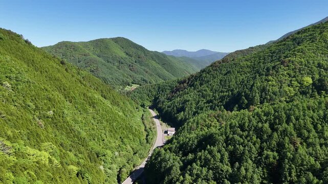 Lush green hills stretch under clear blue sky. Winding road cuts through dense forested valleys. Solemn silence rules this untouched mountain landscape