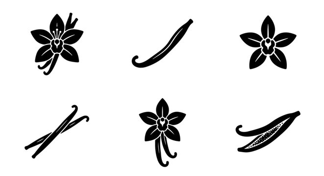 Vanilla Bean and Flower Icons, Black and White Vector Set for Culinary and Botanical Design