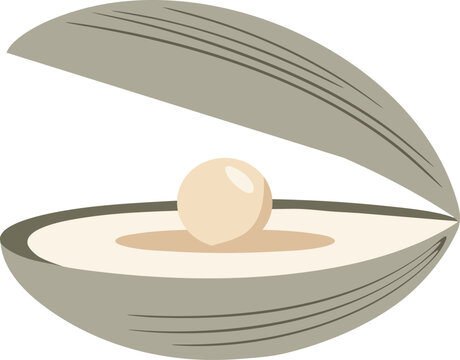 Open clam shell with pearl illustration