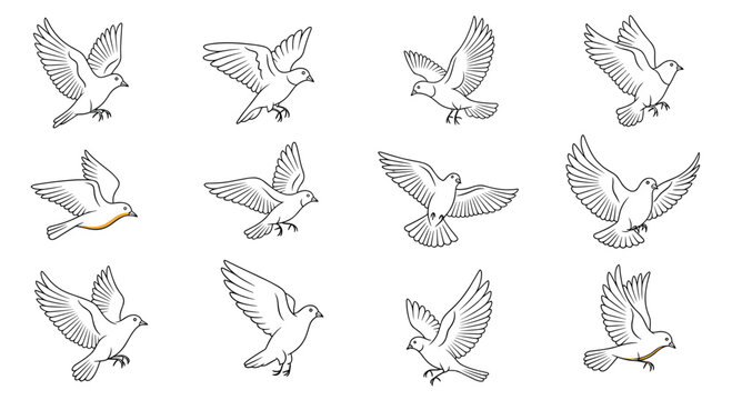 Collection of flying pigeon bird line art illustrations with various wing positions isolated on white background.