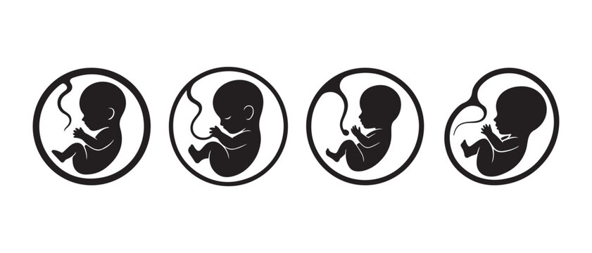 Black silhouette icons of human fetus development in circles showing stages of pregnancy and baby growth.