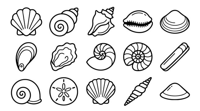 Various Seashells Outline Icon Set