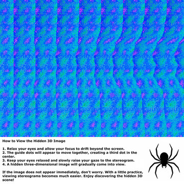 Hidden 3D Spider Image with Hint and Viewing Instructions