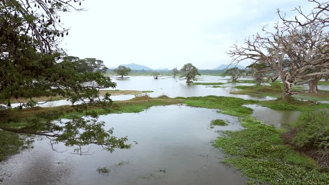 Sri Lanka Tissa Lake Drone