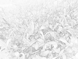 Detailed sketch-style illustration of a snail crawling on a textured ground surface. Black and white outline drawing with natural wildlife theme, suitable for educational, artistic, and design project © Raisa