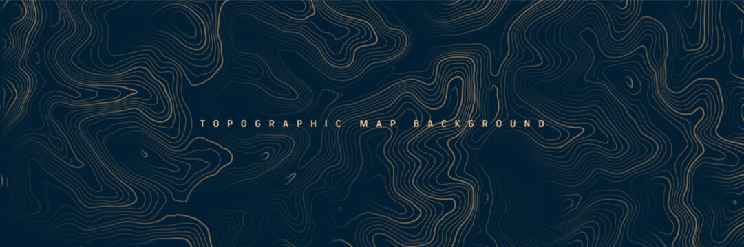 Colorful topographic map with contour lines. Geographic terrain grid, relief height elevation. Ground path pattern. Travel and navigation, cartography design element. Vector illustration