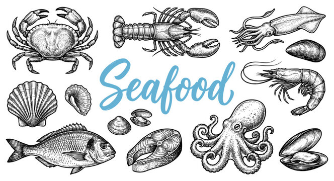 Seafood set with crab lobster squid shrimp octopus fish steak shell